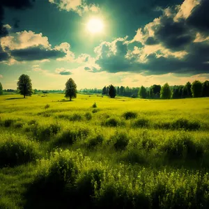 Vibrant Rural Landscape under Clear Skies