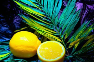 Freshly Sliced Citrus for a Healthy Breakfast Beverage