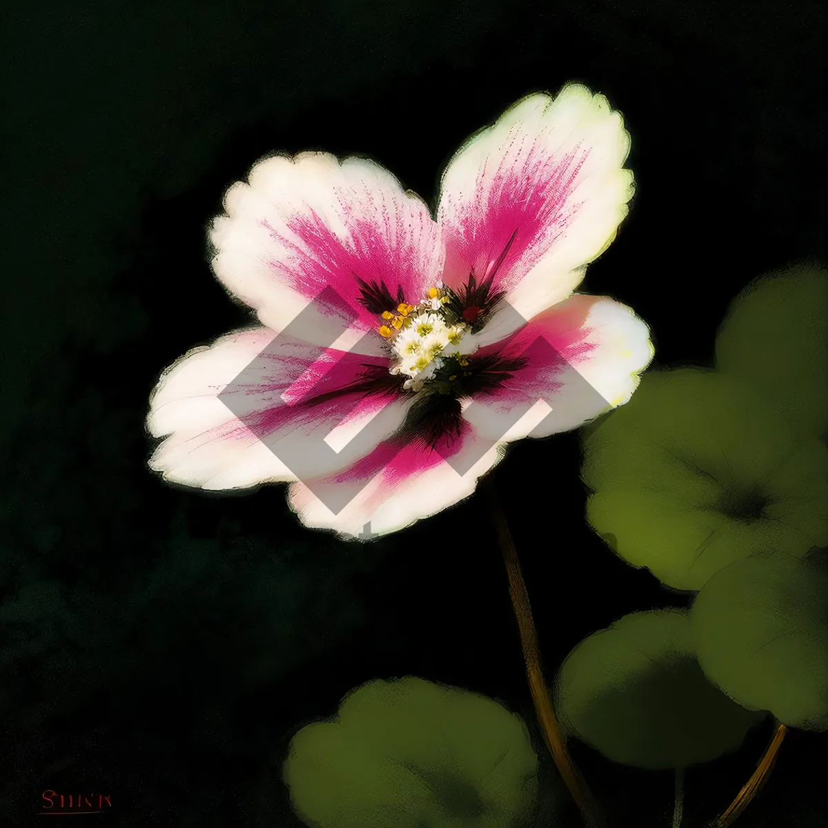 Picture of Vibrant Pink Floral Blossom in Garden