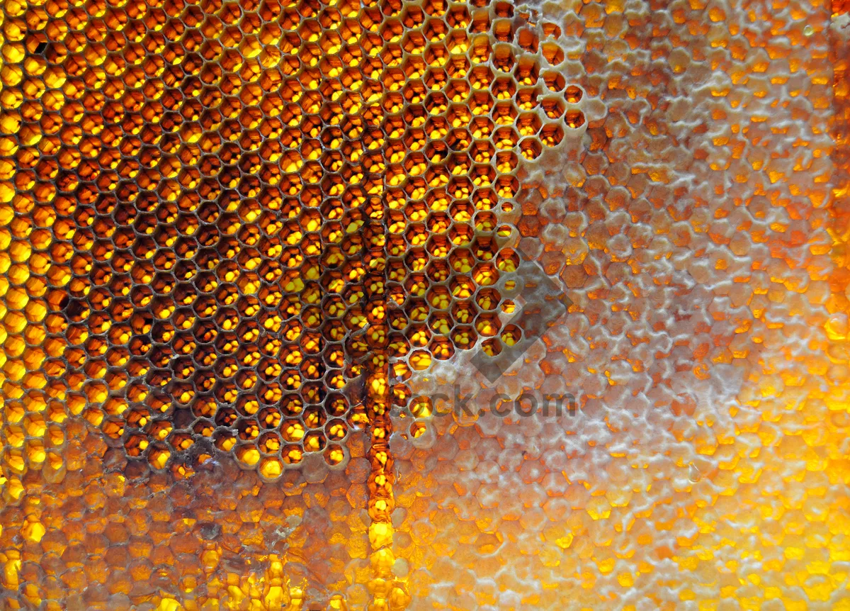 Picture of Yellow honeycomb pattern design for wallpaper backdrop.