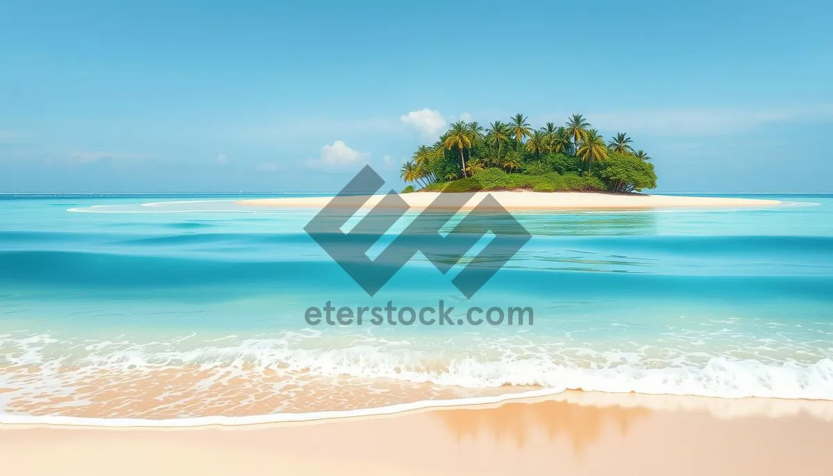 Picture of Tropical paradise beach with clear turquoise waters