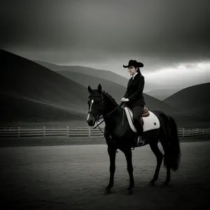 Dynamic Equestrian Riding with Majestic Stallion