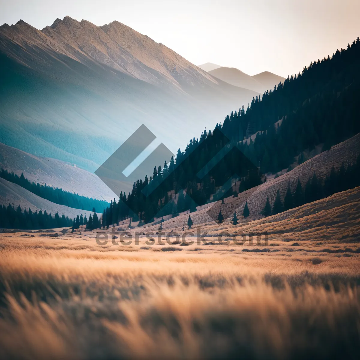 Picture of Snow-capped Alpine peaks framed by lush forests.