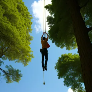 Outdoor Swing on Tree with Mechanical Device