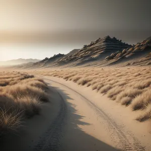 Sandy Desert Landscape Under Clear Blue Sky