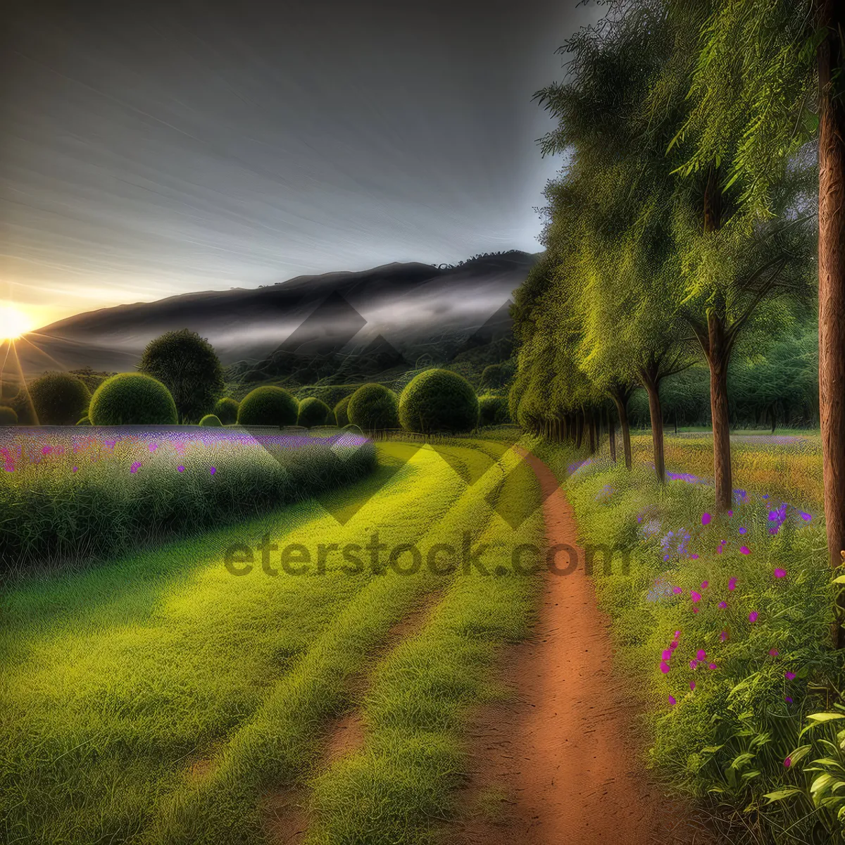 Picture of Idyllic countryside road amidst blooming rapeseed fields
