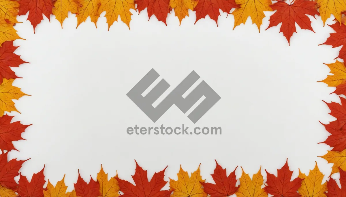 Picture of Autumnal Leaves Frame in Yellow and Orange Hues