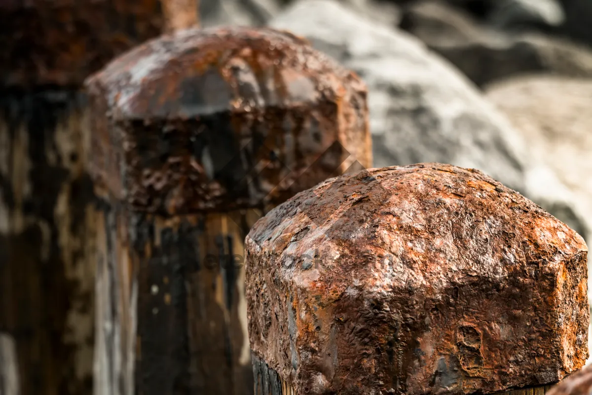 Picture of Bakery Brown Bread with Fungus