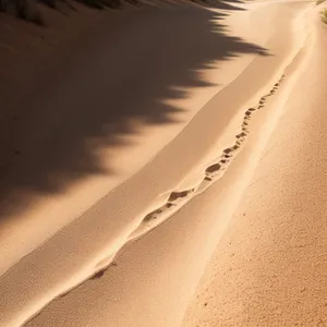 Adventure in the Desert Sands