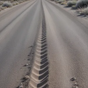 Sandy Journey through Endless Desert