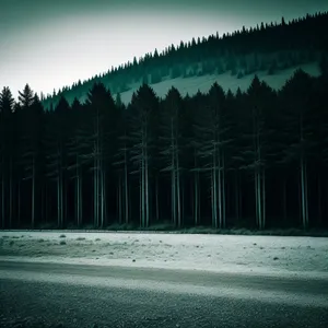 Scenic Mountain Landscape with Picket Fence