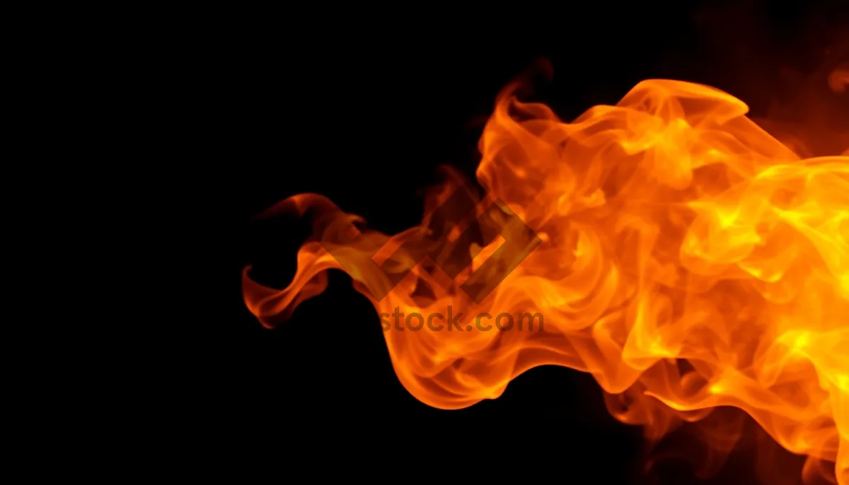 Picture of Dynamic Fire Blaze: Wild, Dangerous, Passion