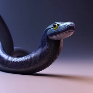 Wild Thunder Snake: Majestic Reptile in Nature