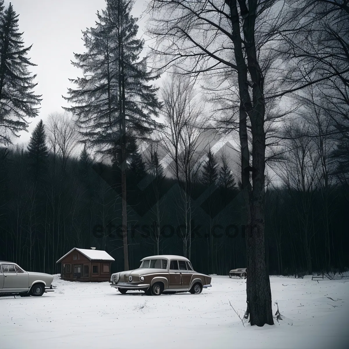 Picture of Winter Wonderland: Serene Snowy Forest Landscape