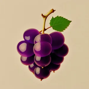 Vibrant Grape Vineyard Graphic Art