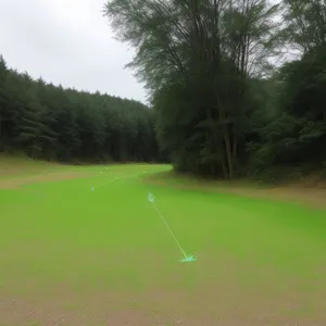 Serene Golf Course Landscape Under Blue Sky