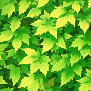Vibrant Maple Leaf in Lush Forest