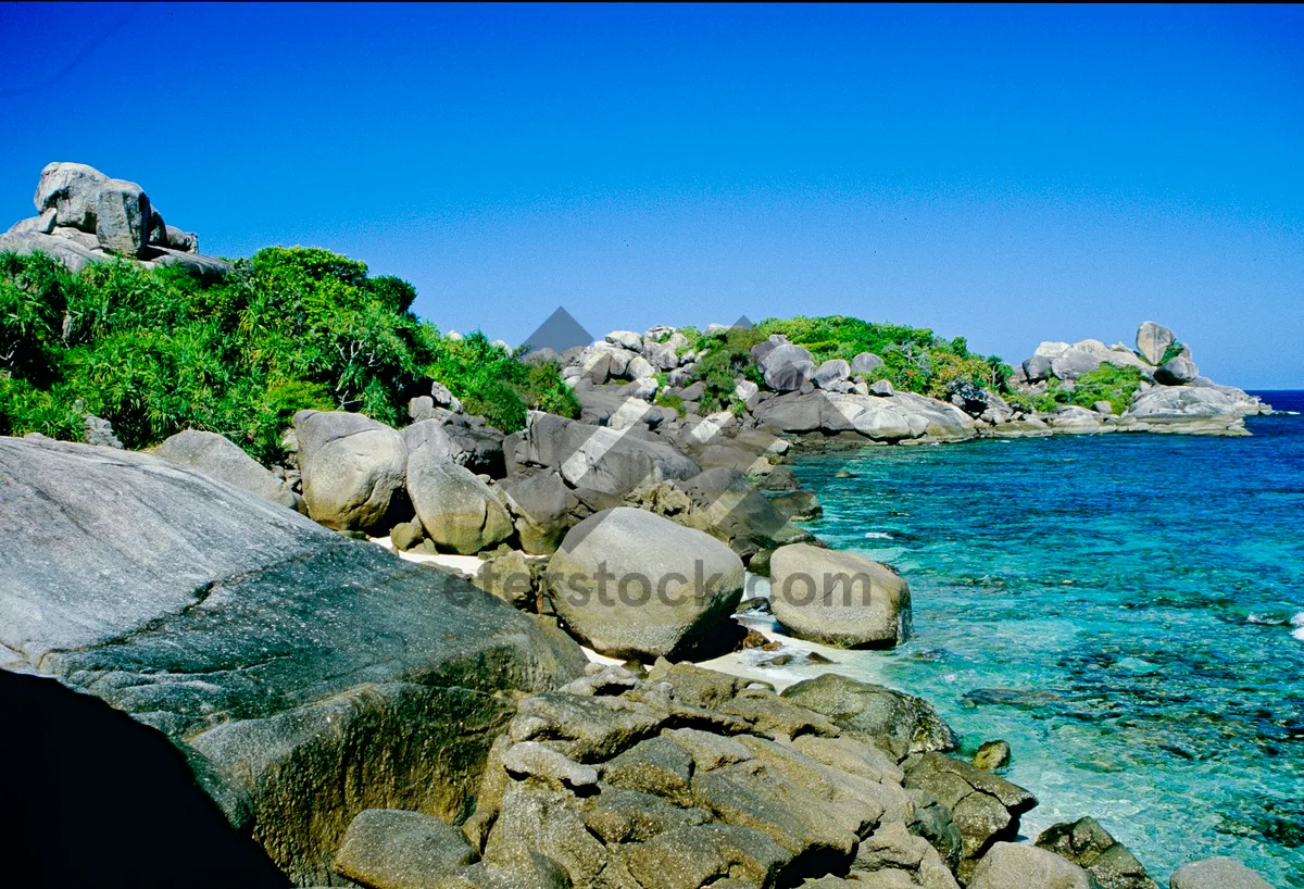 Picture of Tropical beach waves under sunny sky. The colors and crystal clear water of the archipelago of the Similan Islands National Park, Thailand, Asia