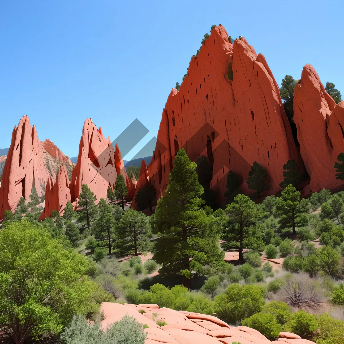 Picture of Southwest Canyon Landscape: Majestic Sumac and Coral Trees in Desert Park