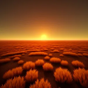 Golden Horizon: Tranquil Desert Sunset with Vibrant Sky