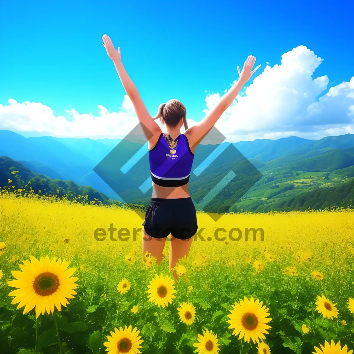 Picture of Happy woman jumping in field of sunflowers