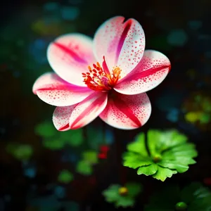 Pink Lily in Full Bloom amidst Floral Garden