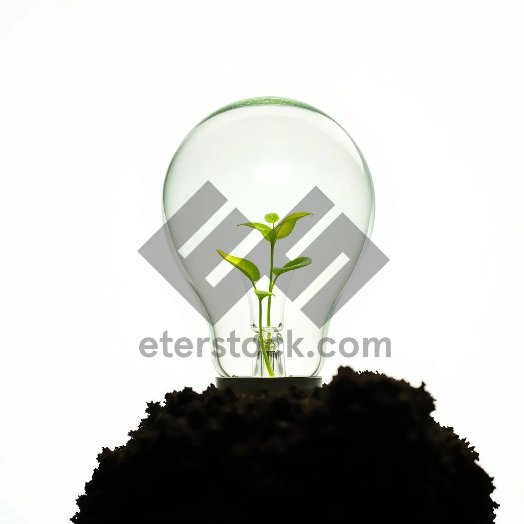 Picture of Glowing Light Bulb Illuminating Seeds - Energy Idea