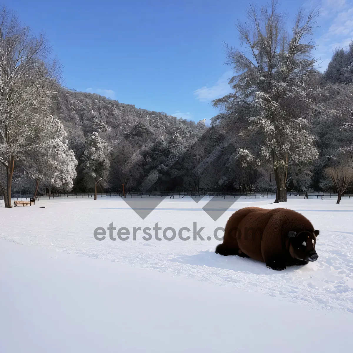 Picture of Winter Wonderland: Bison Roaming Amidst Snow-Covered Mountains