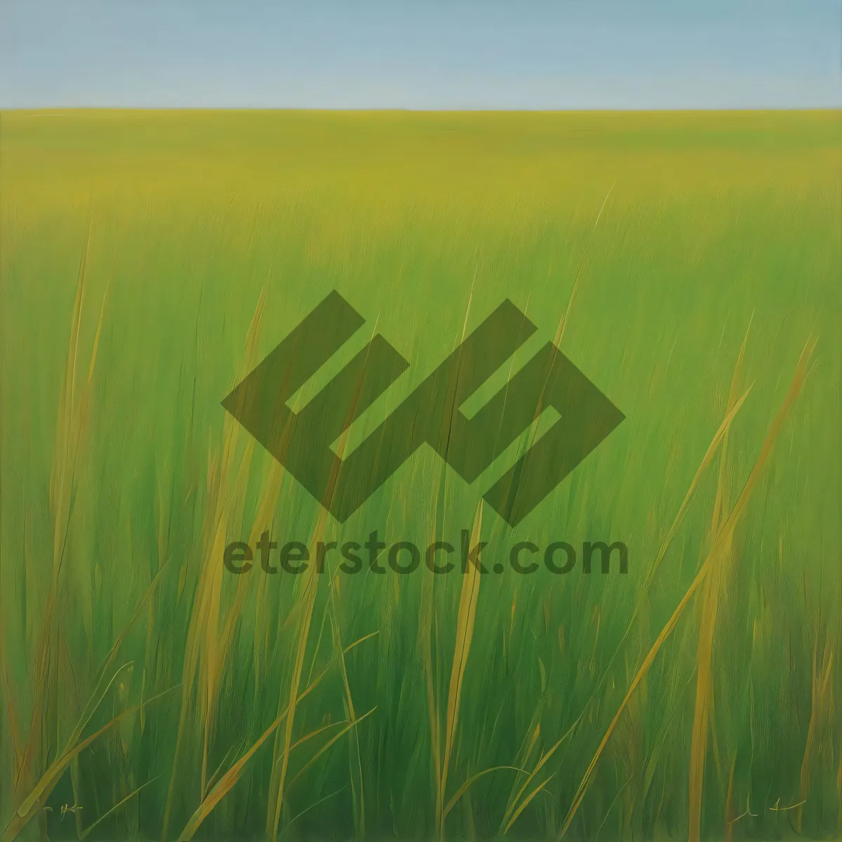 Picture of Golden Harvest: Sun-kissed Wheat Field in Rural Landscape