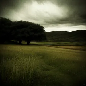 Rustic Summer Horizon: Rolling Fields under a Vibrant Sky