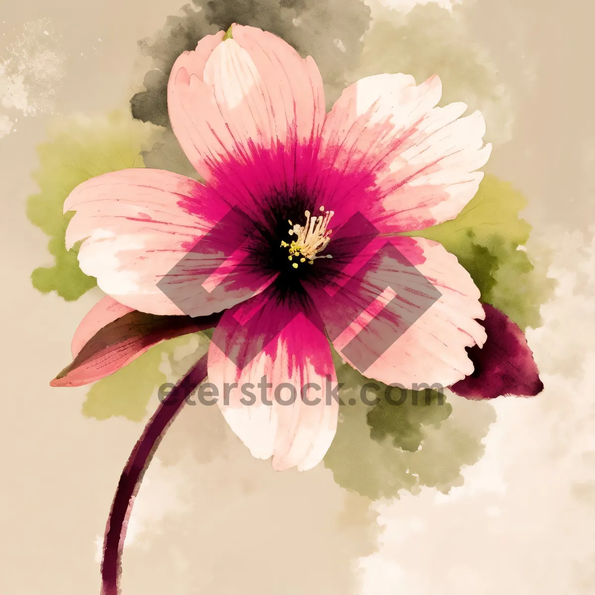 Picture of Pink Mallow Blossom in Garden - Delicate Floral Petals