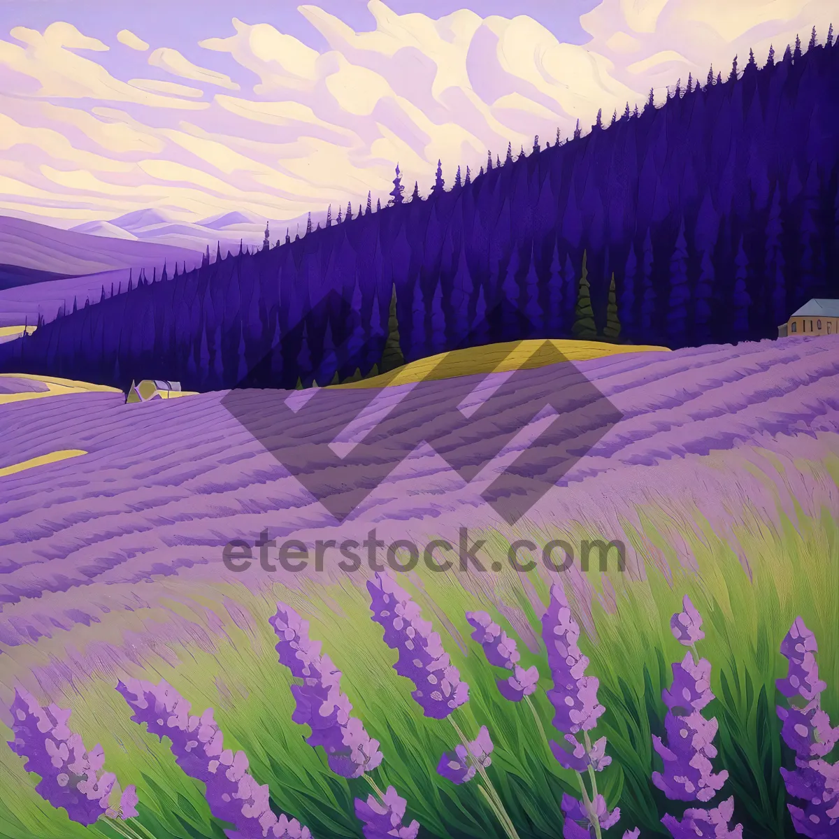 Picture of Vibrant Purple Blooms in a Lavender Field