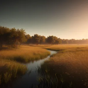 Serenity under the sunny rural skies
