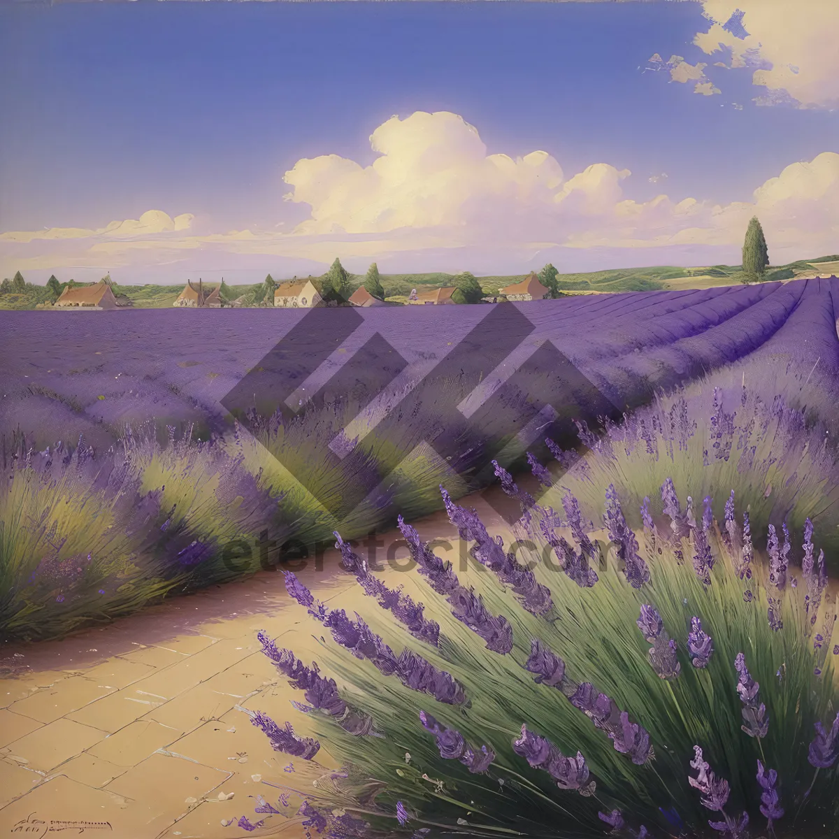 Picture of Serene Lavender Field with Meandering River