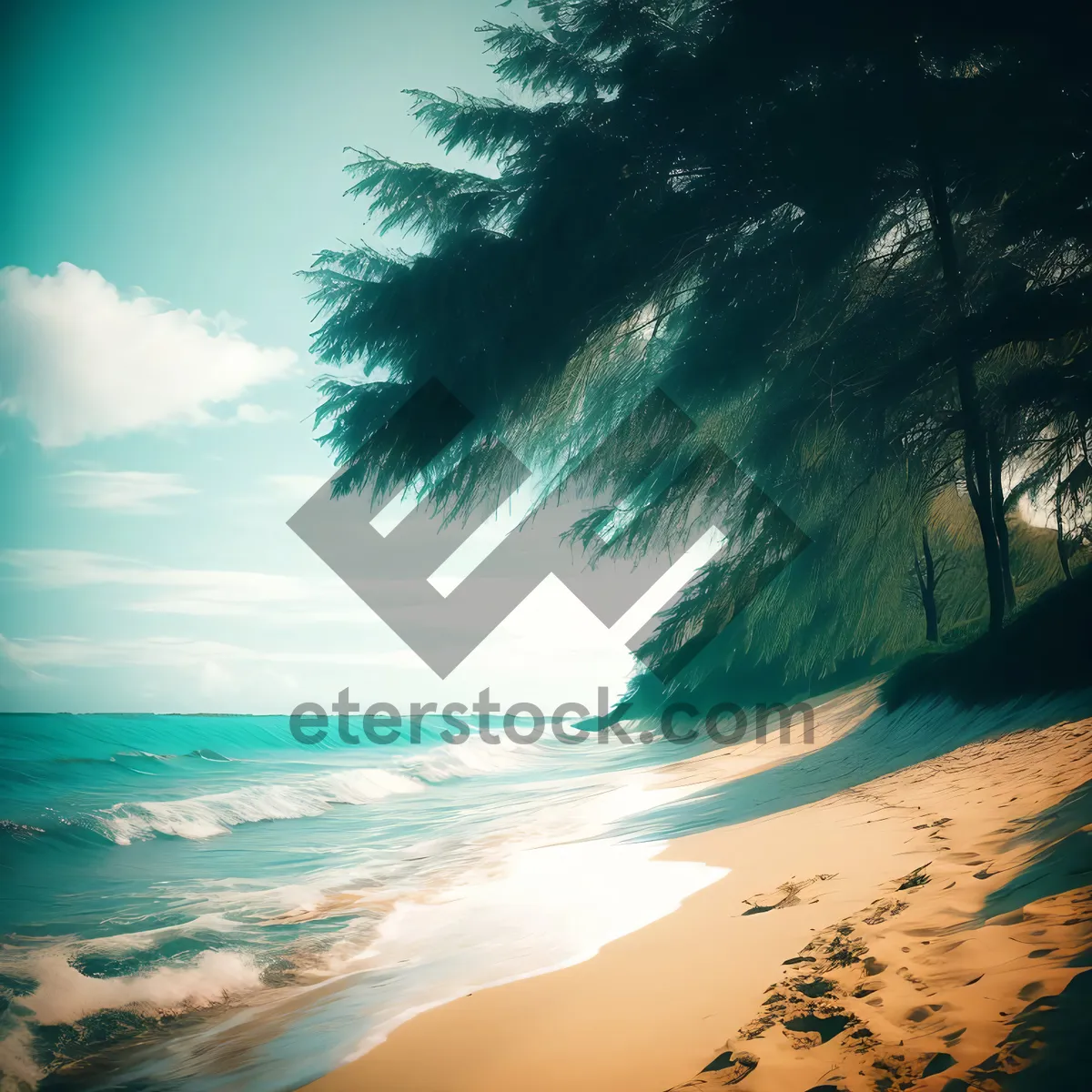 Picture of Serenity by the Shore.