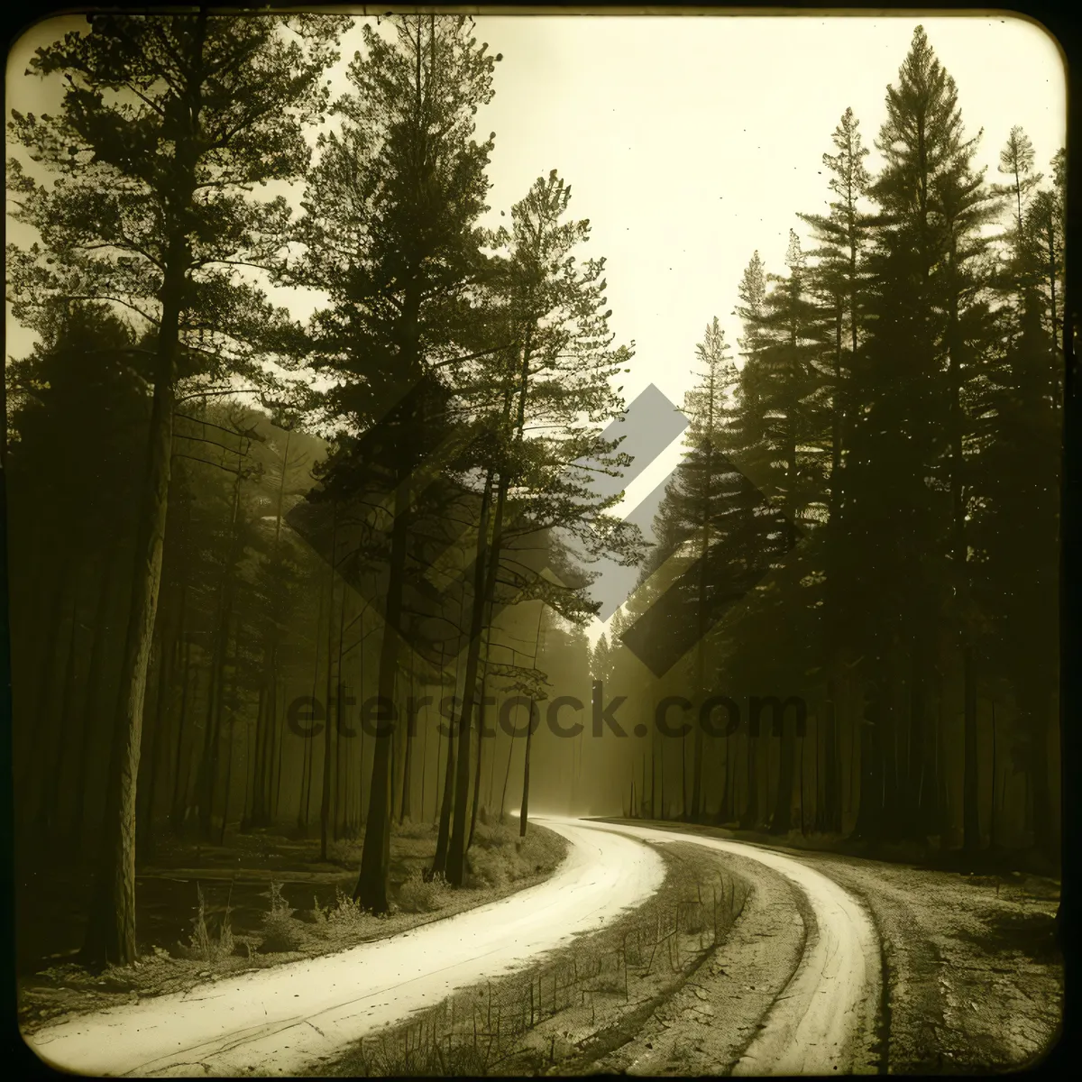 Picture of Misty Winter Wonderland