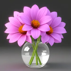 Blooming Pink Daisy - Floral Beauty in Vibrant Colors