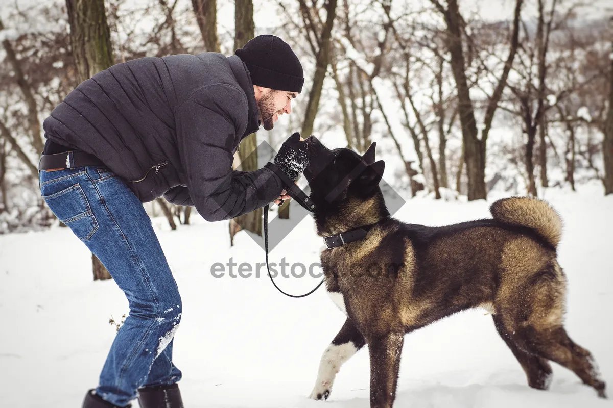 Picture of Cute Shepherd Dog Playing in the Snow