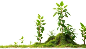 Spring Floral Tree Branch with Green Leaves