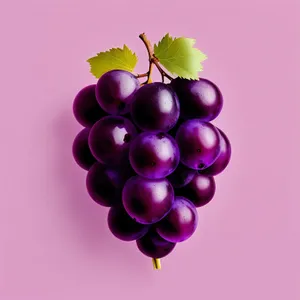 Juicy Vineyard Delight: Ripe Berry-licious Grapes