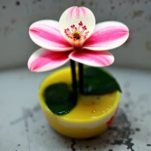 Energizing Floral Spa Massage with Pink Blossoms