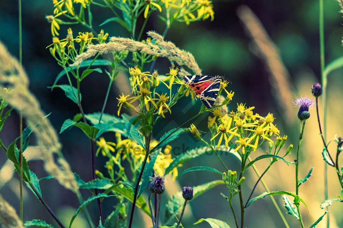 Picture of Yellow flower on branch with green leaves.