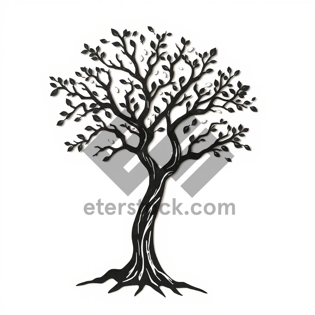 Picture of Summer Tree Silhouette Graphic Floral Artwork Leaf for SEO.