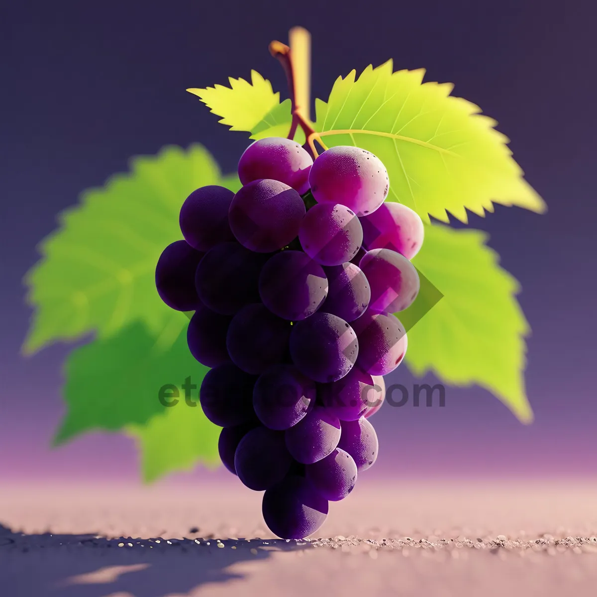 Picture of Juicy Autumn Harvest: Ripe Purple Grapes in Vineyard