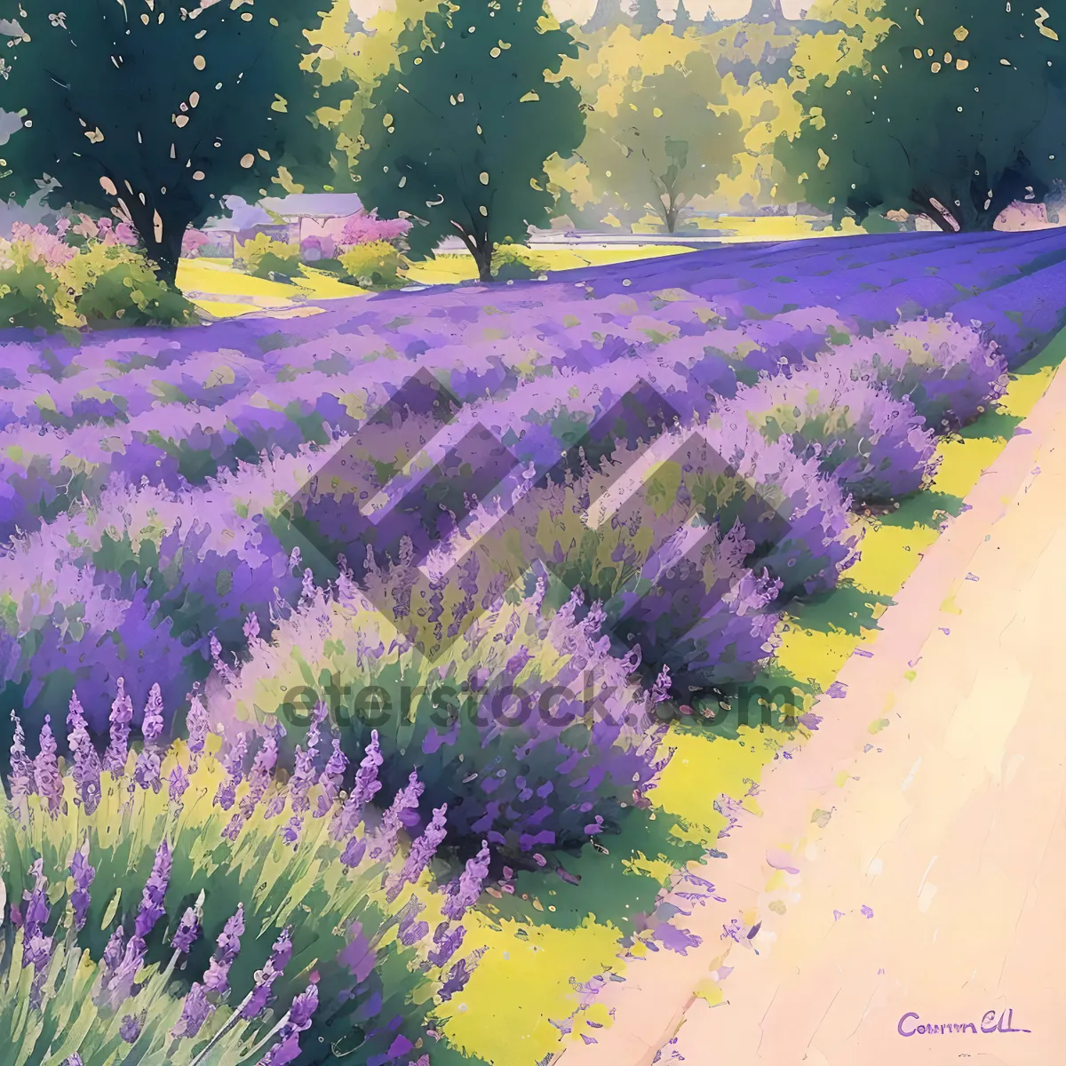 Picture of Lush Lavender Shrub in Vibrant Countryside Landscape