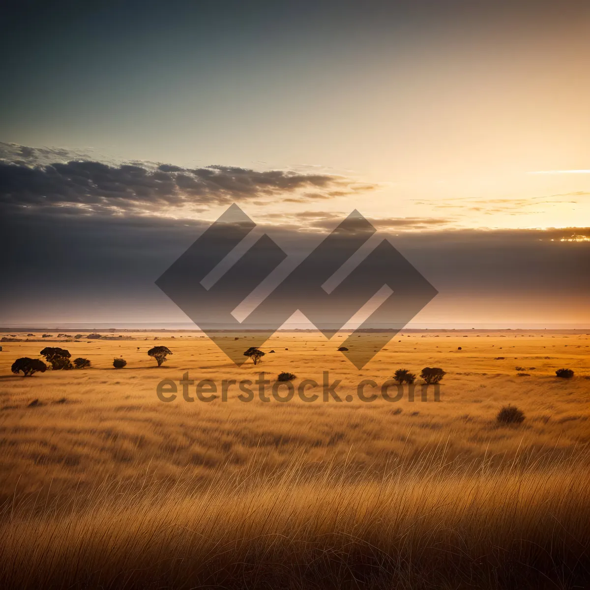 Picture of Vibrant Sunset Over Desert Dunes