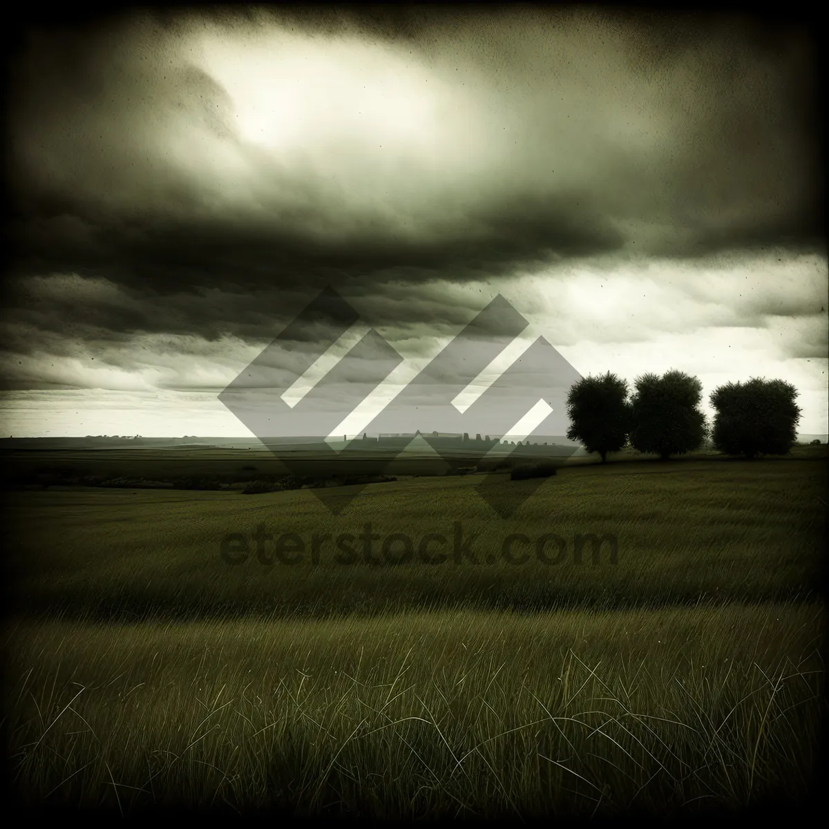 Picture of Idyllic Rural Landscape with Sunset over Fields