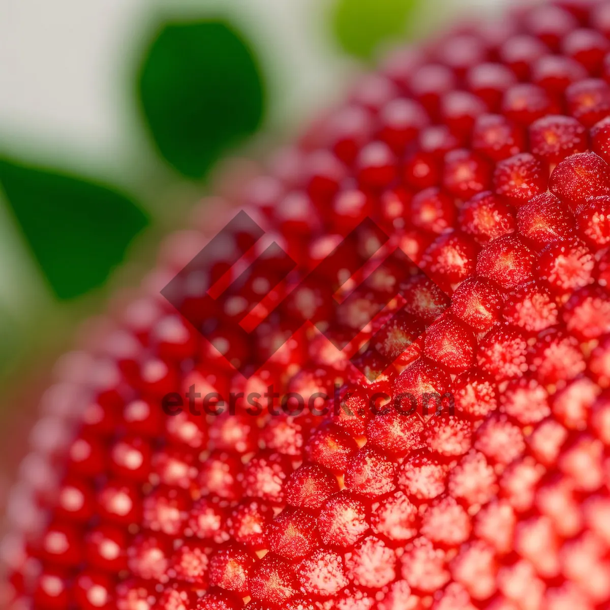 Picture of Juicy and Fresh Raspberry Berries - Delicious and Nutritious Summer Treat