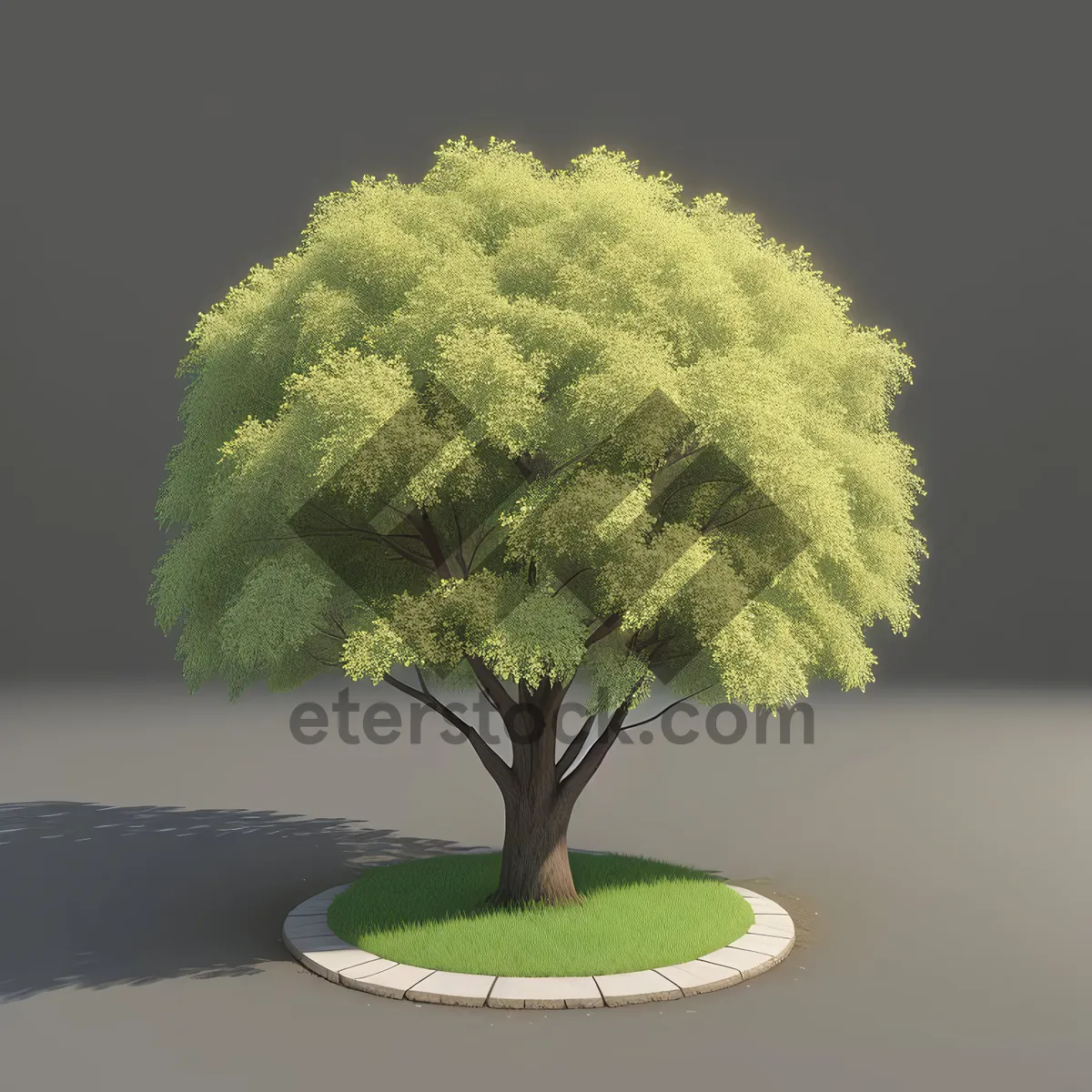 Picture of Serene Bonsai Garden Landscape Under Summer Sky