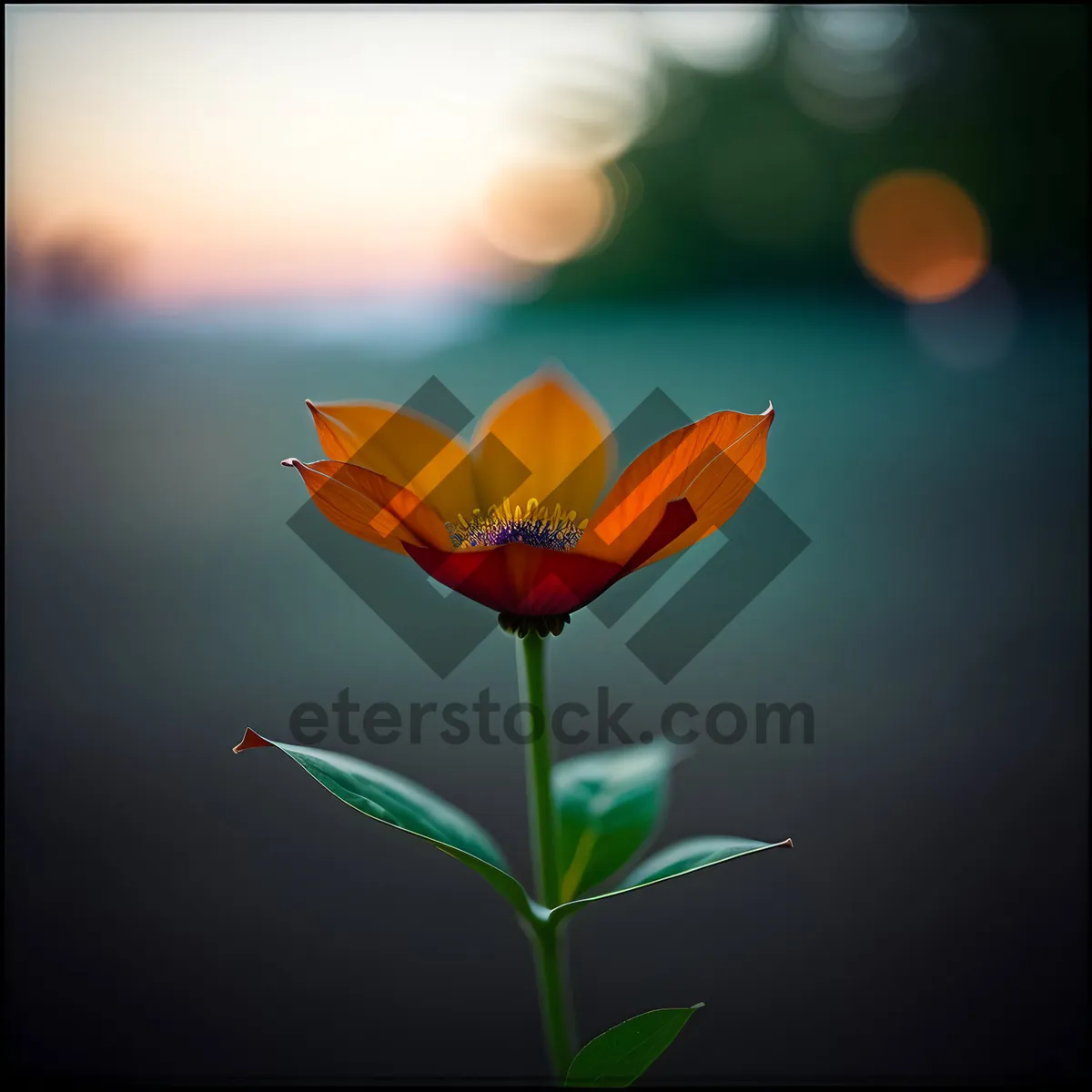 Picture of Vibrant Blooms In Lush Garden